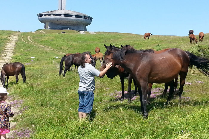 Horse Riding Tours