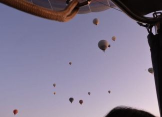 Alexander’s Conquests From Diplomacy to Gaugamela