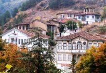 Philadelphia The Revived Church