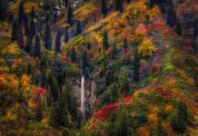 The Jews Did Not Turn to the Messiah in 70 AD