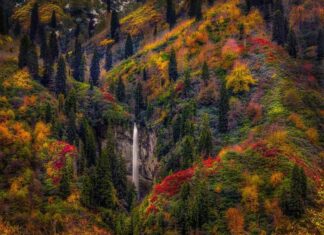 The Jews Did Not Turn to the Messiah in 70 AD