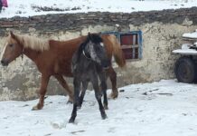 The Deesis in the Apse