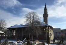 Geography and Natural Features