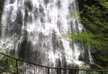 The March Against the Ammonians