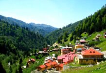 Solon Explains the Uncertainty of Human Life