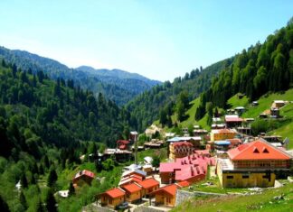 Solon Explains the Uncertainty of Human Life