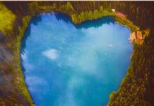 Solon Leaves Without Reward