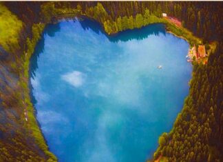 Solon Leaves Without Reward