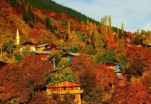 The Fall of Pisistratus