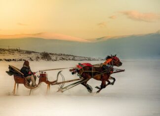 Questioning the Ionian View of Egypt