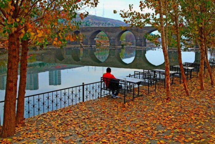 CREATOR: gd-jpeg v1.0 (using IJG JPEG v62), quality = 100